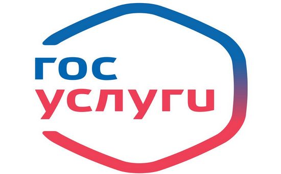 Порталу государственных и муниципальных услуг Нижегородской области отметил 11-летие