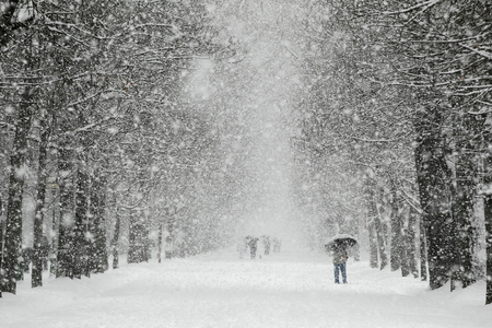 Первый снегопад накроет Нижегородскую область