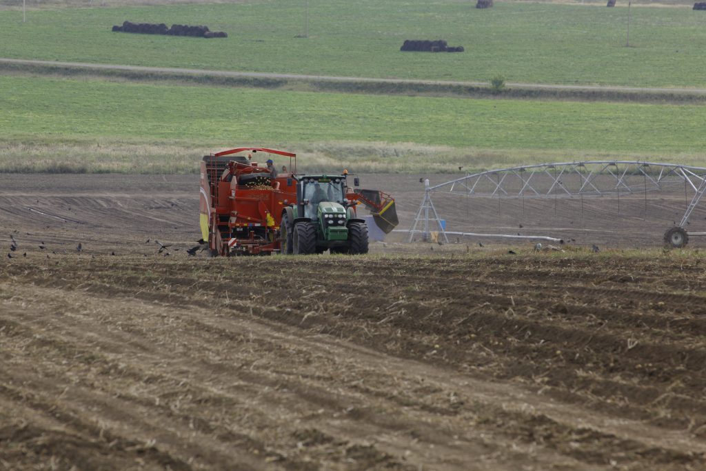 Нижегородские сельхозпредприятия получили льготный лизинг по госпрограмме