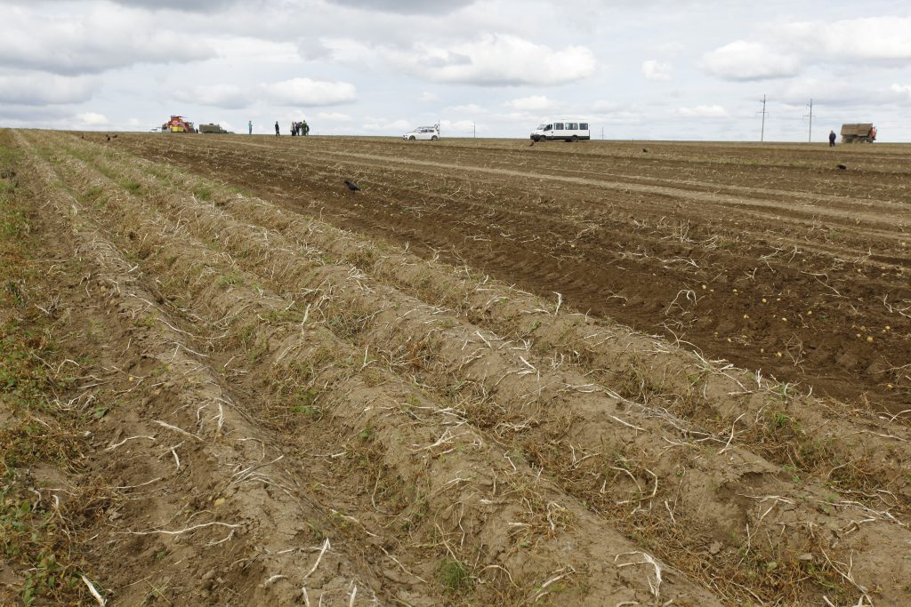 В Нижегородской области собрали больше зерна, чем в прошлом году
