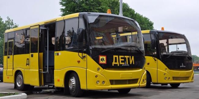 17 новых автобусов для перевозки детей закупят в Нижегородской области
