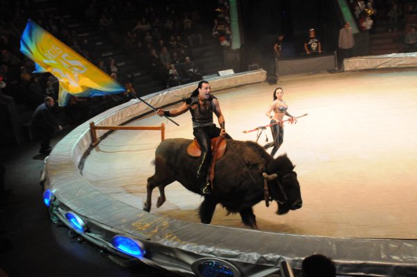 Пять самых ярких номеров новой программы нижегородского цирка