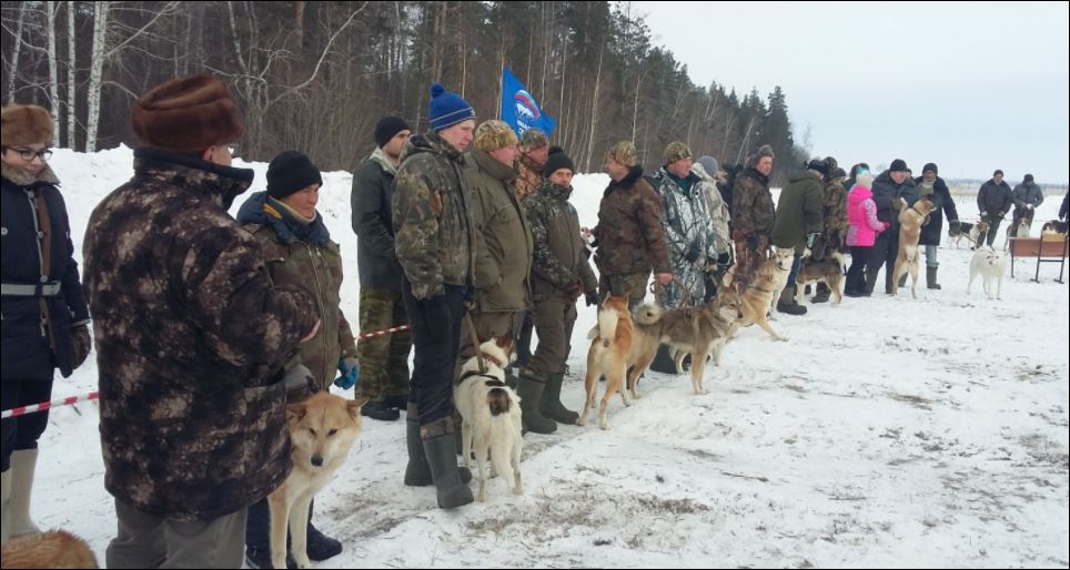 В Княгинине состоялась районная выставка охотничьих собак