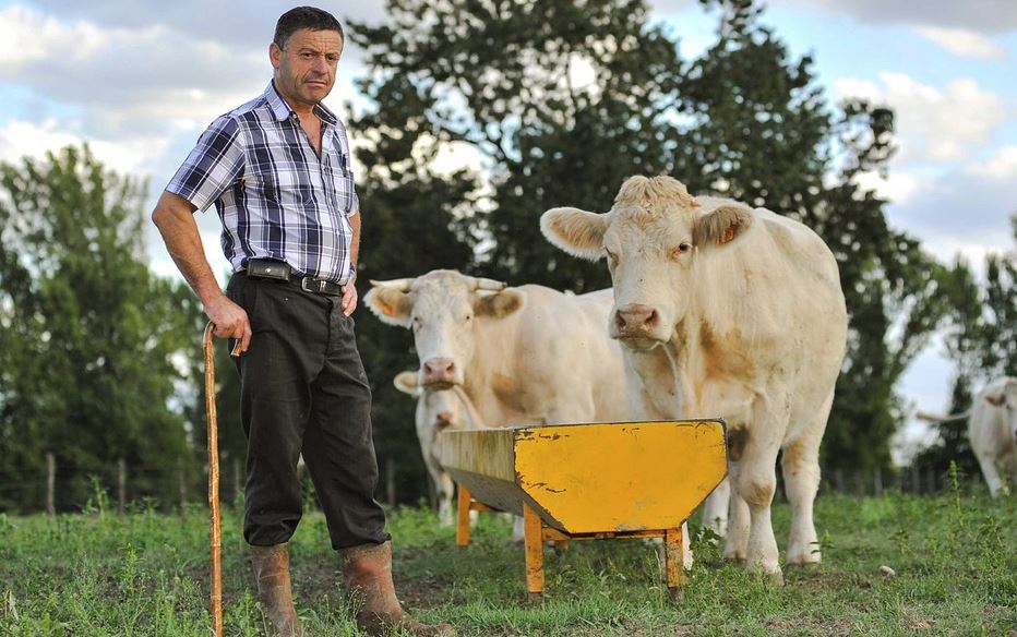 Владимир Плотников: «Фермеры смогут жить на своей земле, а не ездить каждый день туда как на работу»