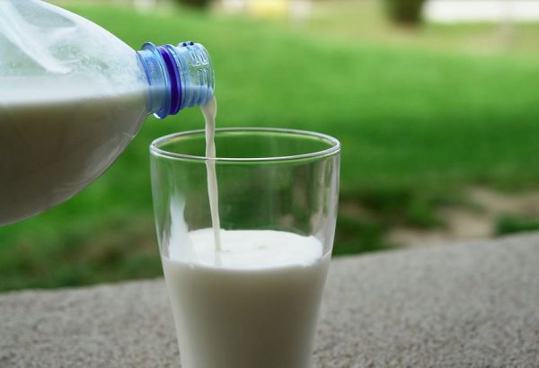 Правда или ложь: молоко в Нижегородской области подорожает на треть