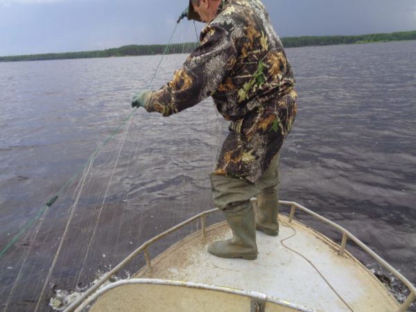 В Лысковском районе браконьеры выловили более 100 кг рыбы