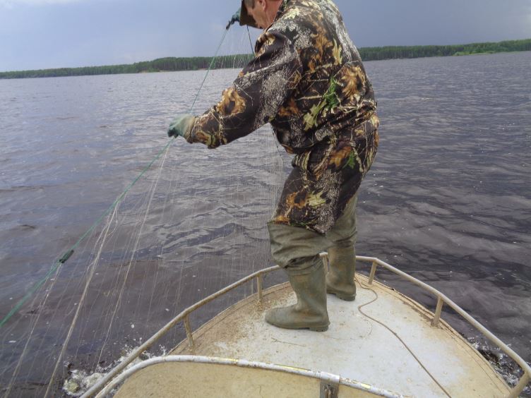Николай Бондаренко: «8,5 тысяч рыб спасено из браконьерских сетей с начала нереста»