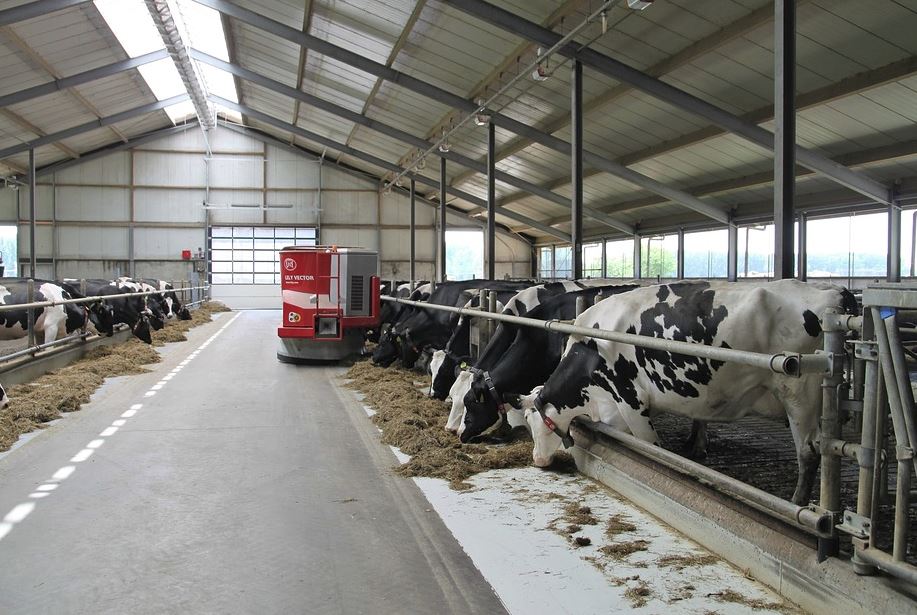 В Нижегородской области валовое производство молока превысило уровень прошлого года на 2,5 тыс. тонн