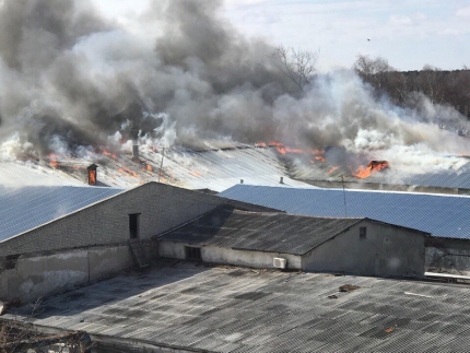 Кожевенный завод горел в Богородске