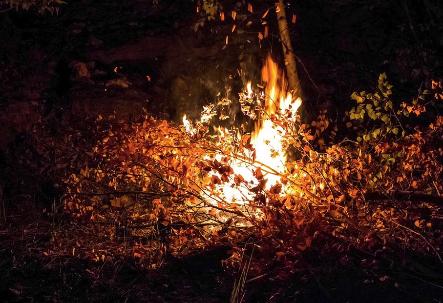 На землях лесного фонда Нижегородской области установлен особый противопожарный режим