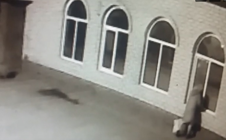 Взломала окно и ограбила магазин. Преступницу пенсионного возраста ищут в Нижегородской области