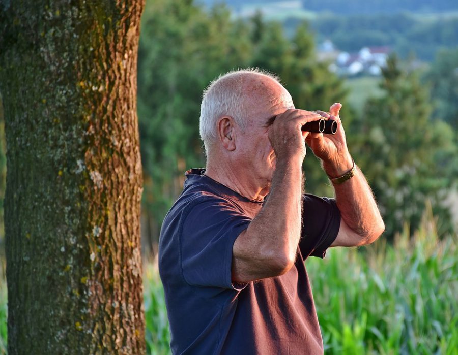 Более 40 камер и квадрокоптер мониторят ситуацию в нижегородских лесах