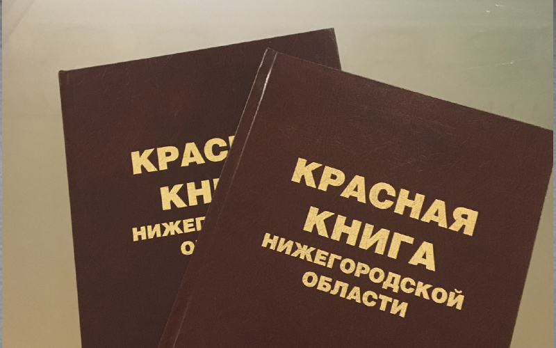 Региональное минэкологии подарило школам и вузам второй том Красной книги Нижегородской области