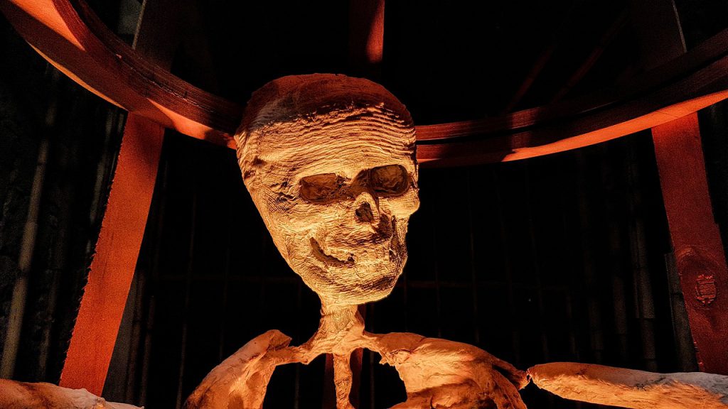 Мумию человека обнаружили в нижегородской теплотрассе