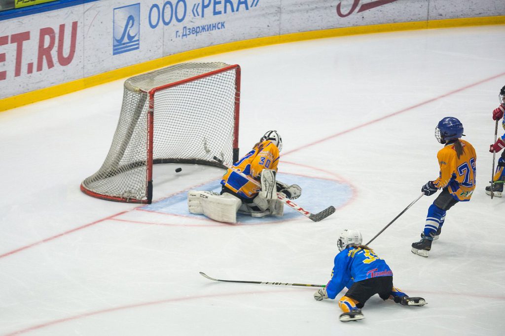 «Ярмарка хоккейных талантов» прошла в Нижнем Новгороде