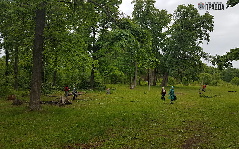 Больше 200 человек вышли на экологический субботник по очистке памятника природы Малышевские гривы