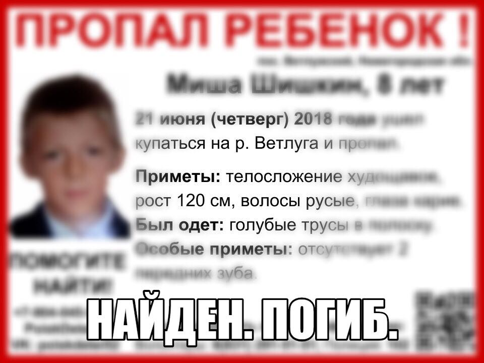 Пропавший 8‑летний мальчик найден погибшим в Нижегородской области