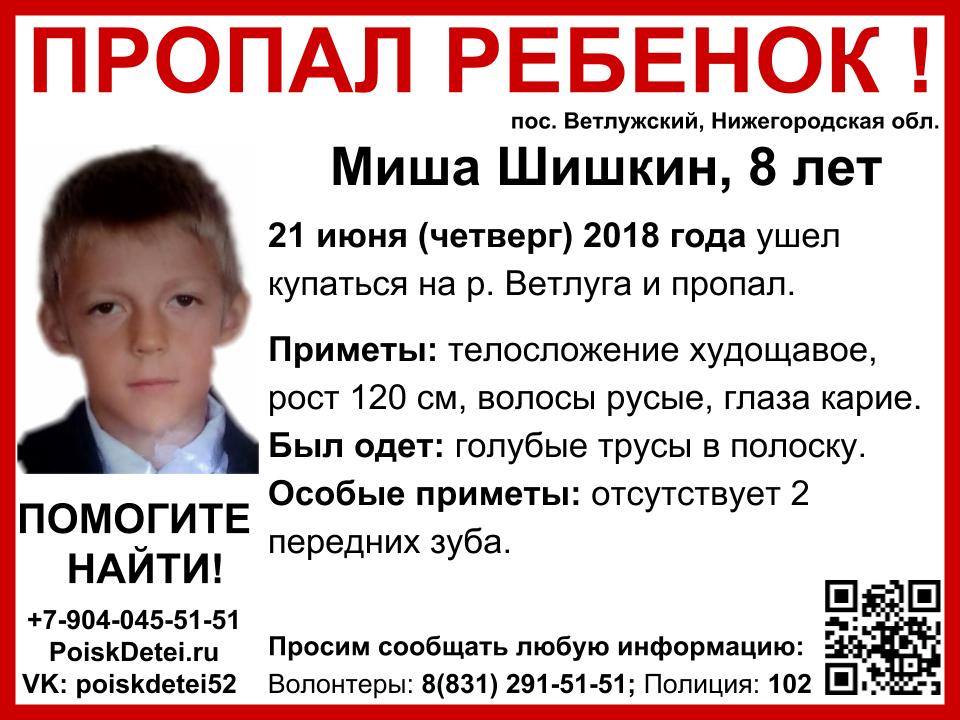 8‑летний мальчик пропал в Нижегородской области