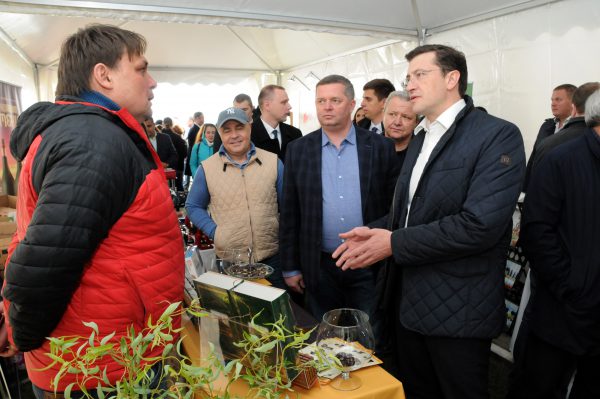 Нижегородская область заняла 1 место в ПФО по обороту малых предприятий и числу занятых в малом бизнесе