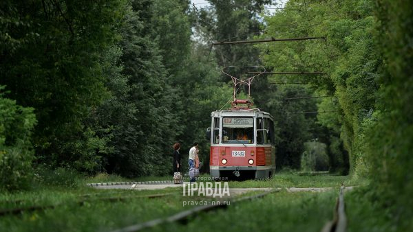 Правда или ложь. Нижегородские трамваи отключат за долги