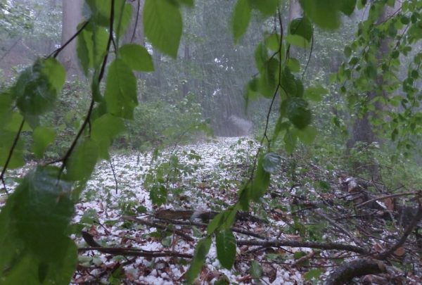 Штормовое предупреждение объявлено в Нижегородской области