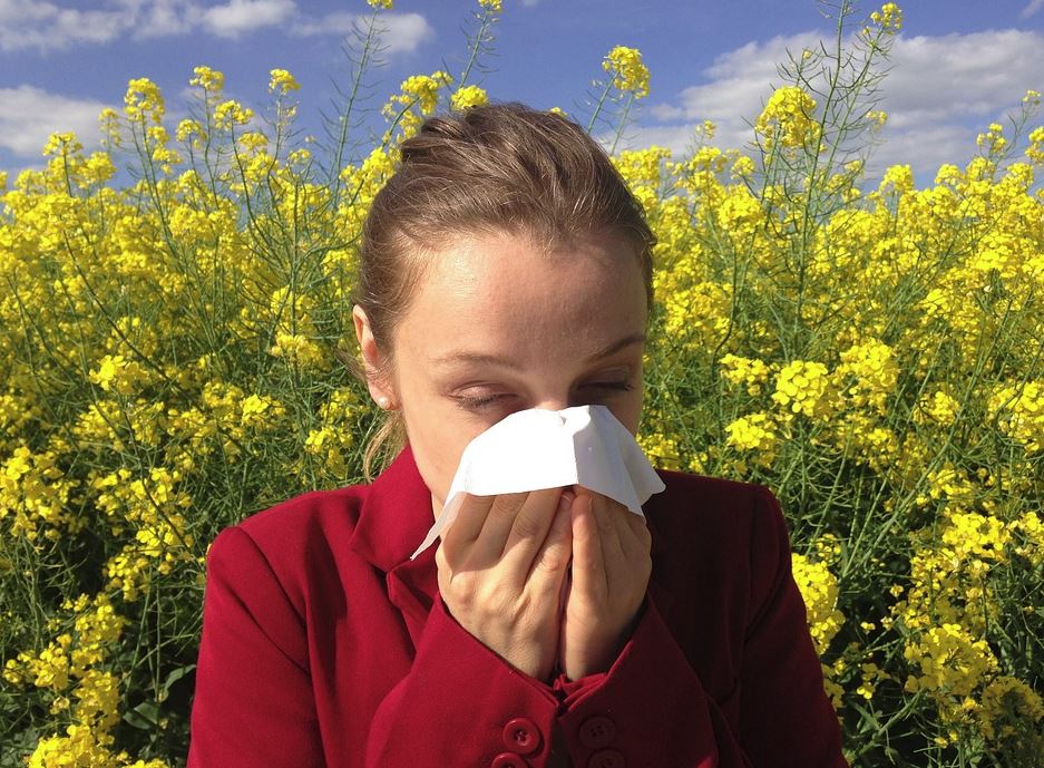 Около 40% нижегородцев страдают из-за пыльцы: как защититься от сезонной аллергии