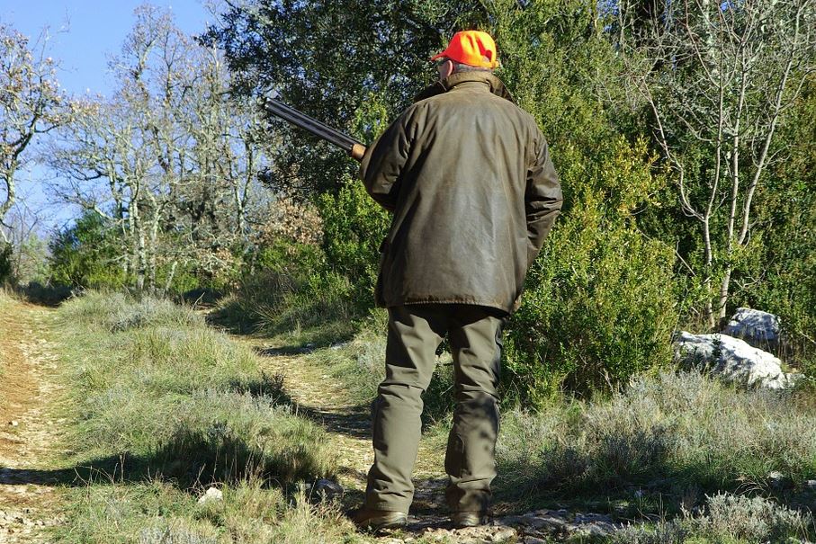 Ответственность за браконьерство ужесточили в Нижегородской области