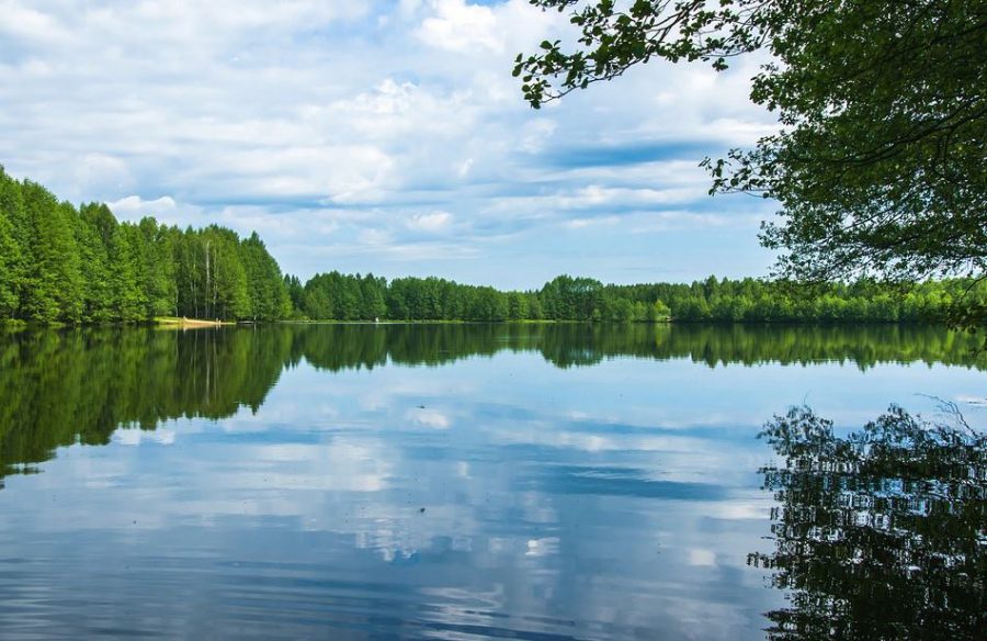 Троих отдыхающих на автозаводском озере оштрафовали за нарушении самоизоляции