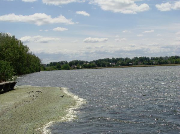 Состояние Вадского озера заставляет экологов бить тревогу