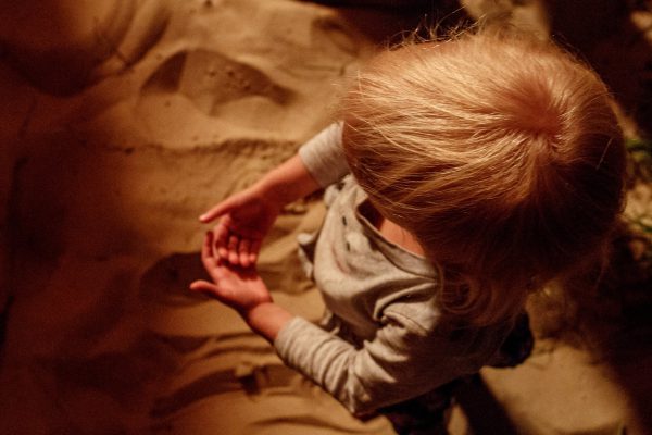Песок времени. Антология нижегородских песочниц глазами ребенка