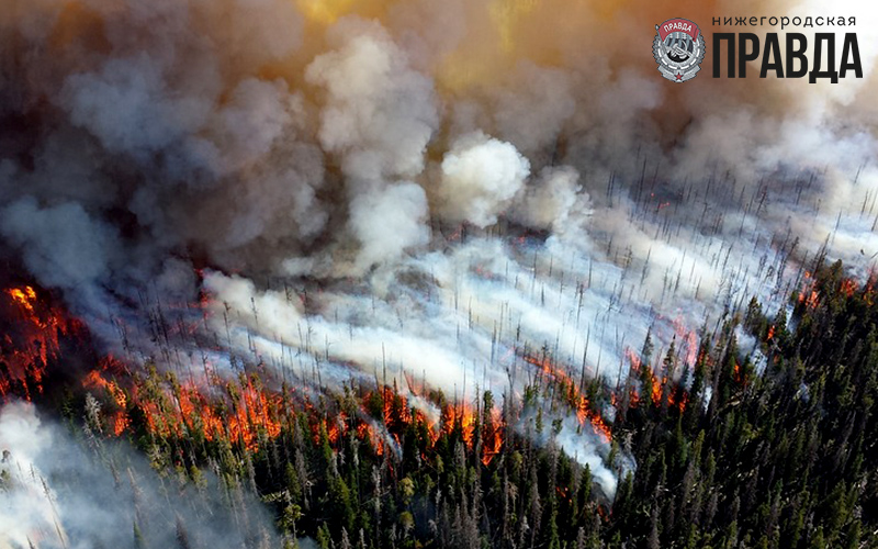 Высокая пожароопасность лесов сохраняется в Нижегородской области