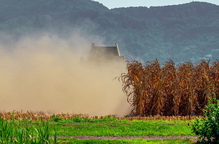 В Нижегородской области продолжается уборка кукурузы на силос