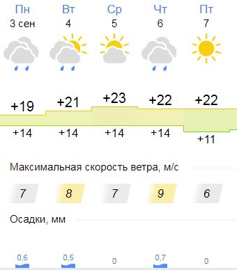 Погода богородск нижегородская область карта осадков