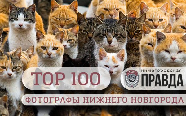 TOP-100. Самые интересные фотографы Нижнего Новгорода