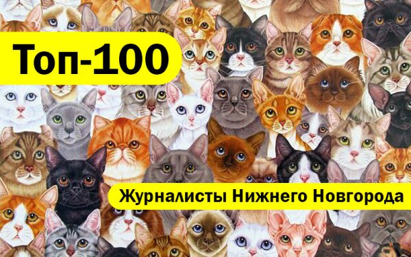 Топ-100 Лучшие журналисты Нижнего Новгорода