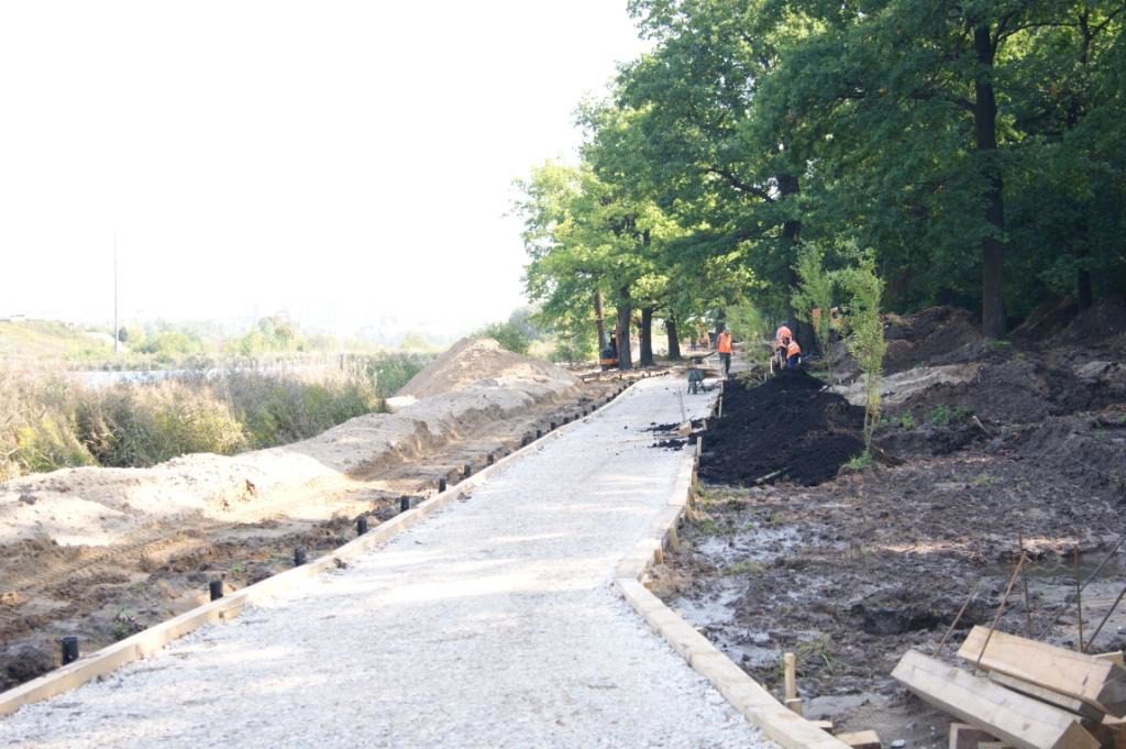 Подрядчика оштрафовали за самовольную вырубку деревьев на Щелоковском хуторе