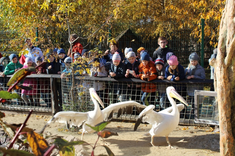 Более 300 килограмм овощей и фруктов принесли нижегородские школьники в зоопарк