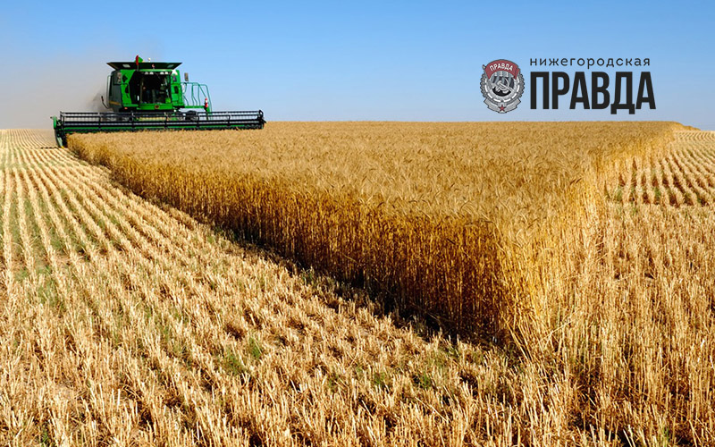 В Нижегородской области завершена уборка зерновых культур