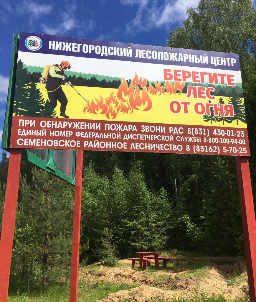 Мероприятия по охране лесов от пожаров за текущий год в Нижегородской области выполнены на 100%