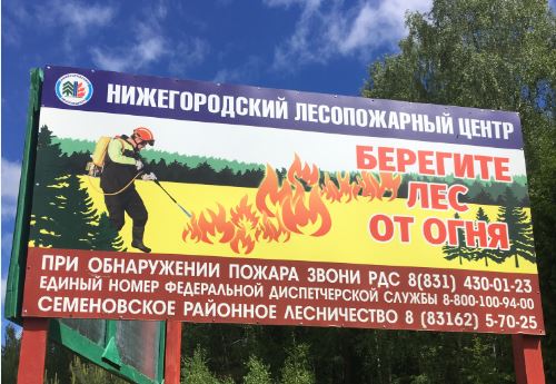 Более 2500 мест отдыха благоустроено в нижегородских лесах