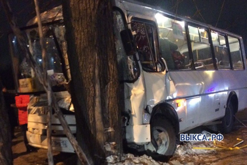 Автобус с людьми врезался в дерево в Нижегородской области