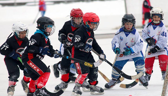 В Нижнем Новгороде пройдет первенство по хоккею с мячом среди юных спортсменов