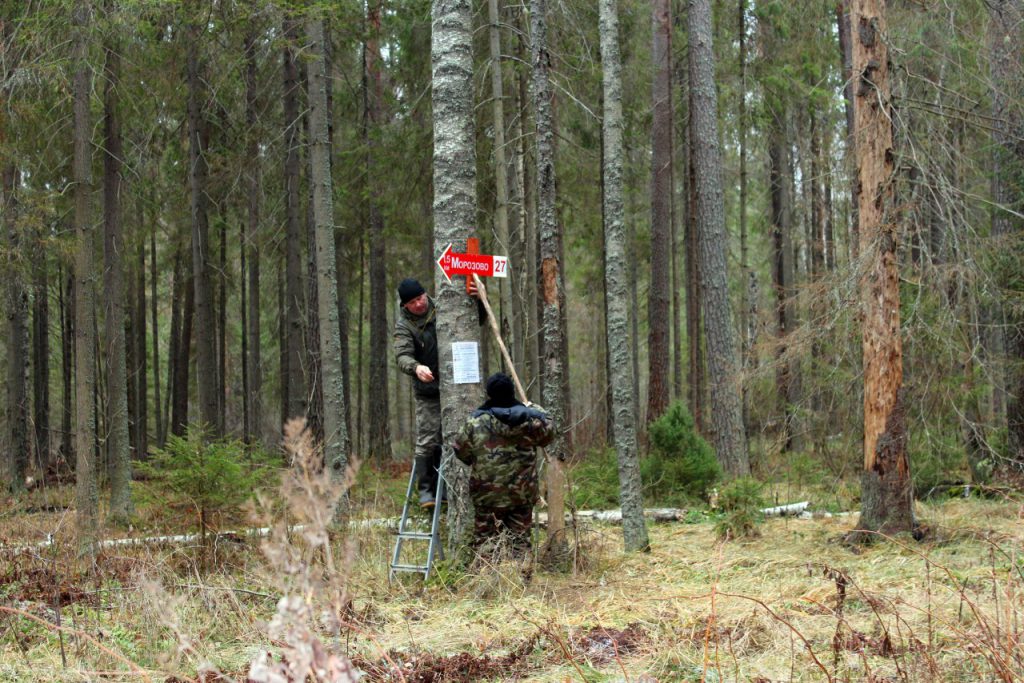 Нижегородские волонтеры установили стрелки-указатели, как выйти из леса для заблудившихся