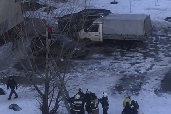 Нижегородские пожарные спасли с дерева школьницу