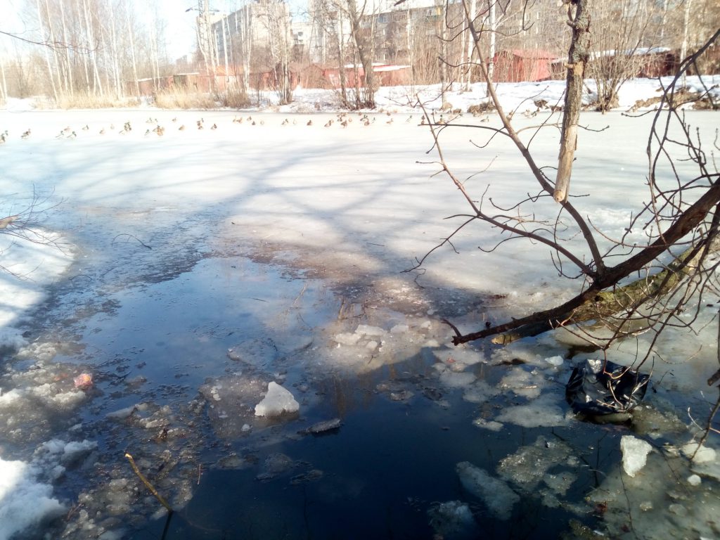 Рыбак провалился под лед в Нижнем Новгороде