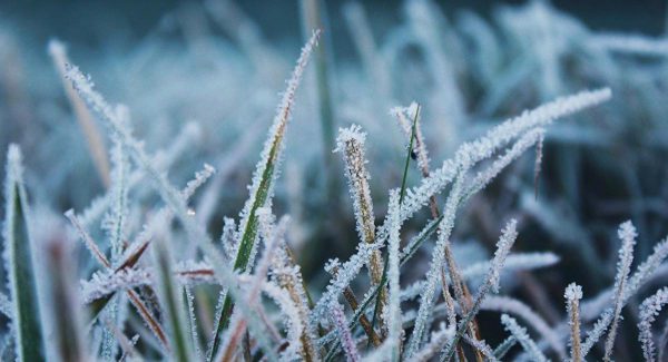 Заморозки до ‑2 градусов ожидаются в Нижегородской области