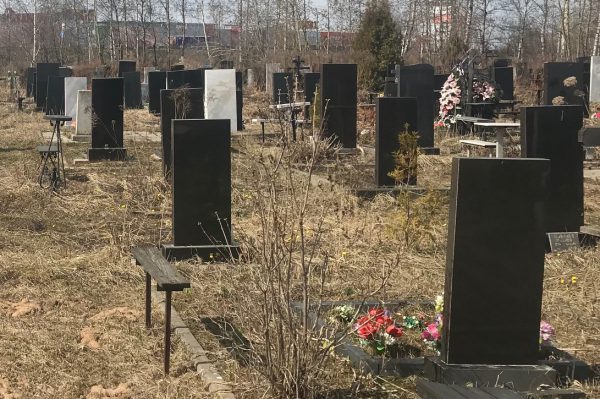 Федяковское кладбище станет первым, где проведут оцифровку мест захоронения