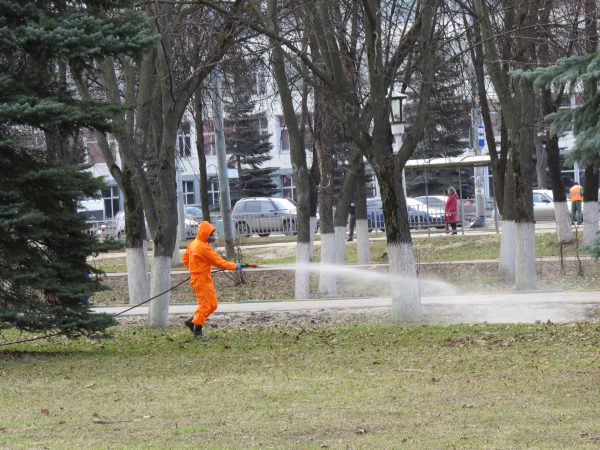 Нижегородские парки и детские площадки обработают от клещей
