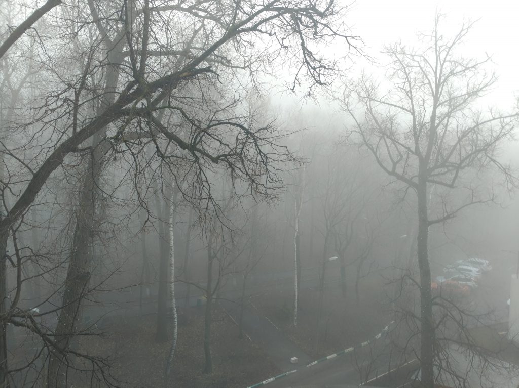 Нижний Новгород окутал густой туман