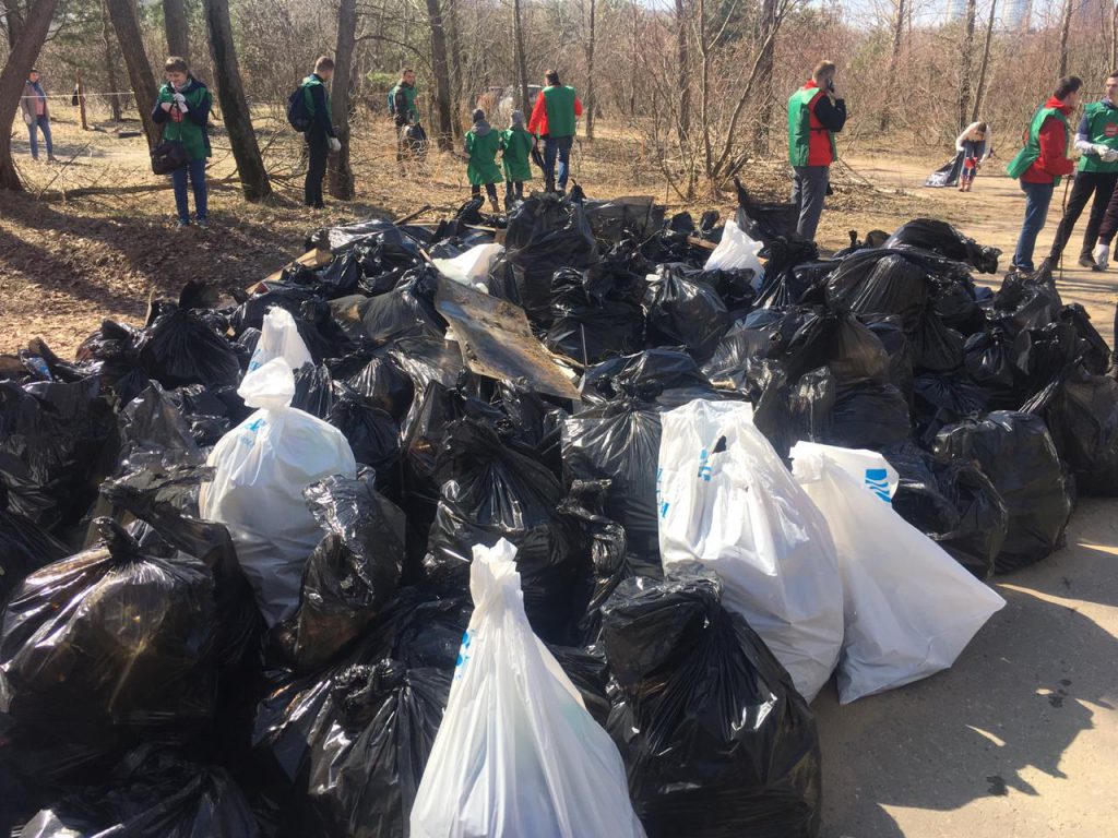 Больше 600 нижегородцев очистили от мусора территорию Гребного канала в рамках всероссийского экологического субботника
